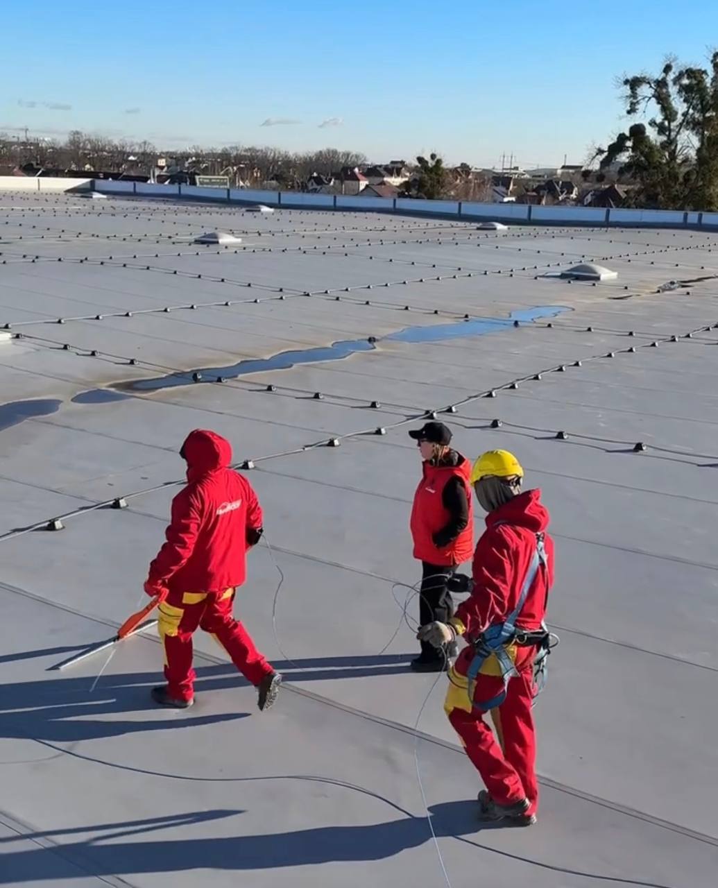 budroof roof